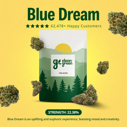 The Full Experience Bundle