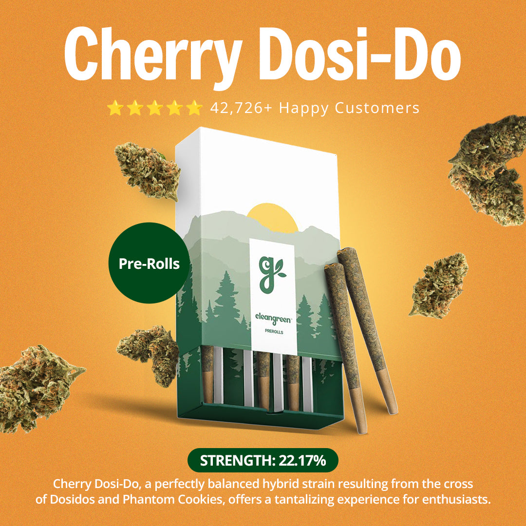 The Full Experience Bundle