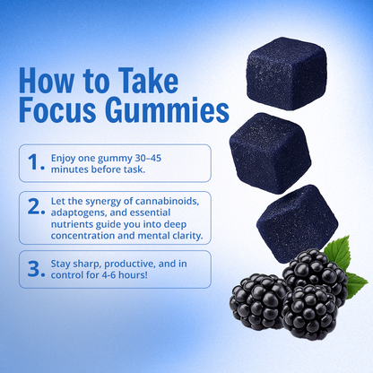 Focus Gummies