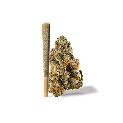 Gelato Pre-Roll 1 Gram