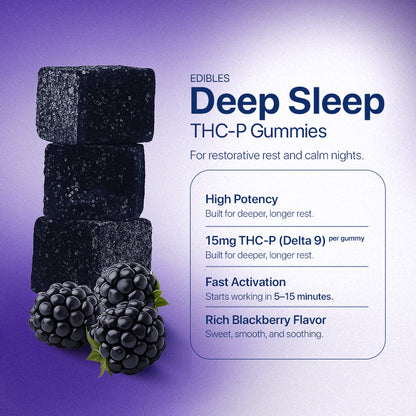 The Full Experience Bundle