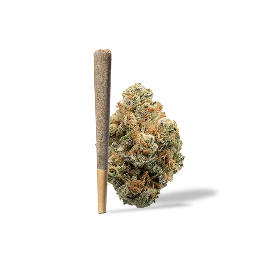 White Runtz Pre-Roll 1 Gram